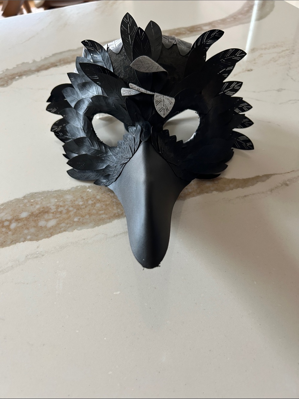 Black Feathered Masquerade Mask, Halloween, Crow